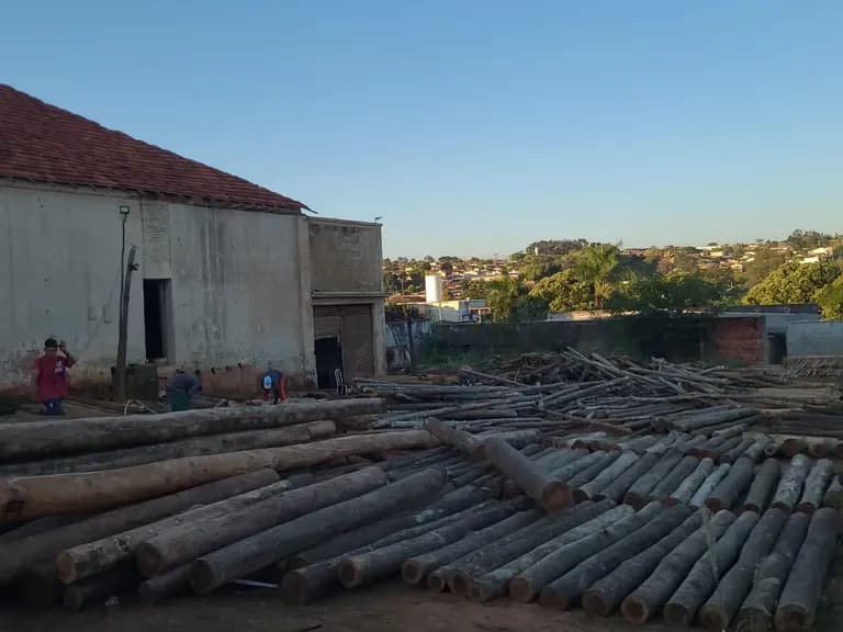 Postes e palanques de eucalipto estocados no pátio em Pirajuí